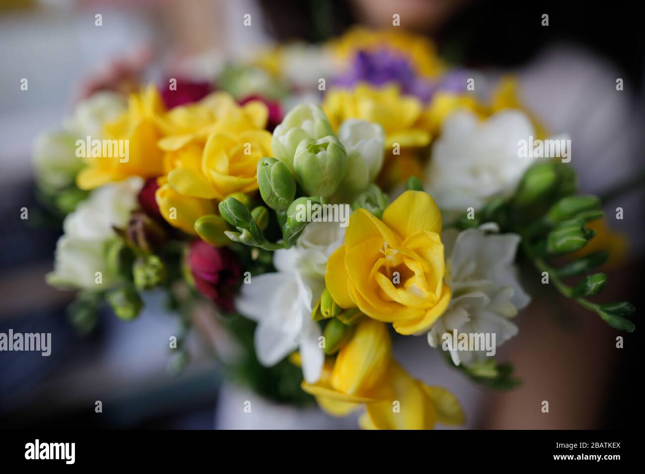 Geringe Schärfentiefe (selektiver Fokus) mit einer Frau, die einen frischen Blumenstrauß Freesias hält. Stockfoto