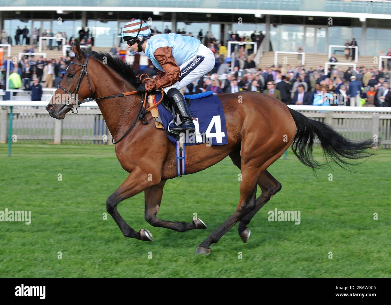 Kunegunda von Hayley Turner in der Prinzessin Royal Richard Hambro E.B.F. geritten Stakes (Früher The Harvest Stakes) (Fillies' Listed) Stockfoto