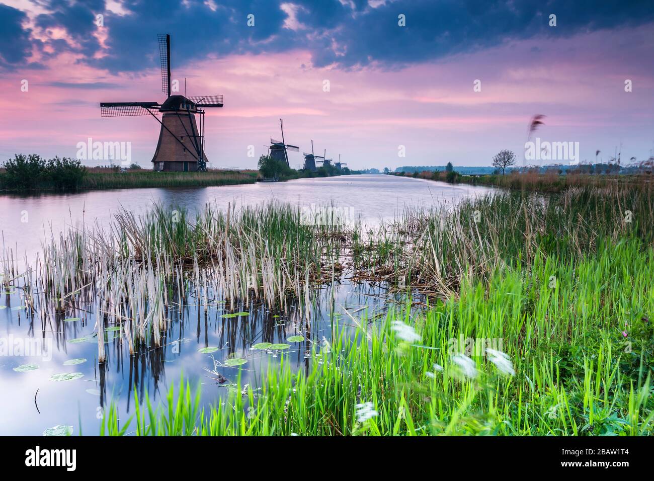 Traditionelle holländische Windmühlen im Unesco-Weltkulturerbe in Kinderdijk. Molenwaard, Südholland, Niederlande, Europa. Stockfoto