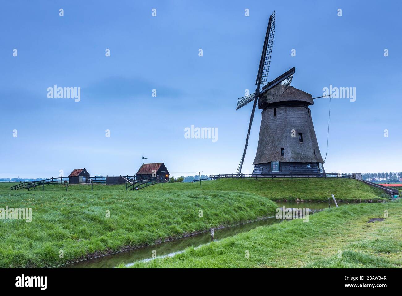 Grüne Rasenfelder und eine Windmühle spiegelten sich in der Abenddämmerung im Kanal wider. Berkmeer, Koggenland, Nordholland, Niederlande, Europa. Stockfoto