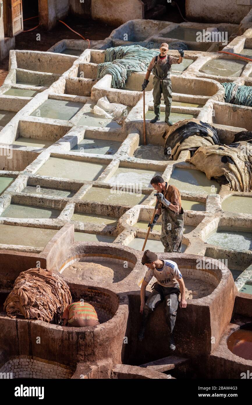 Arbeiter in Chouwara (Chouara) Gerberei, Fes Medina, Fez, Marokko Stockfoto