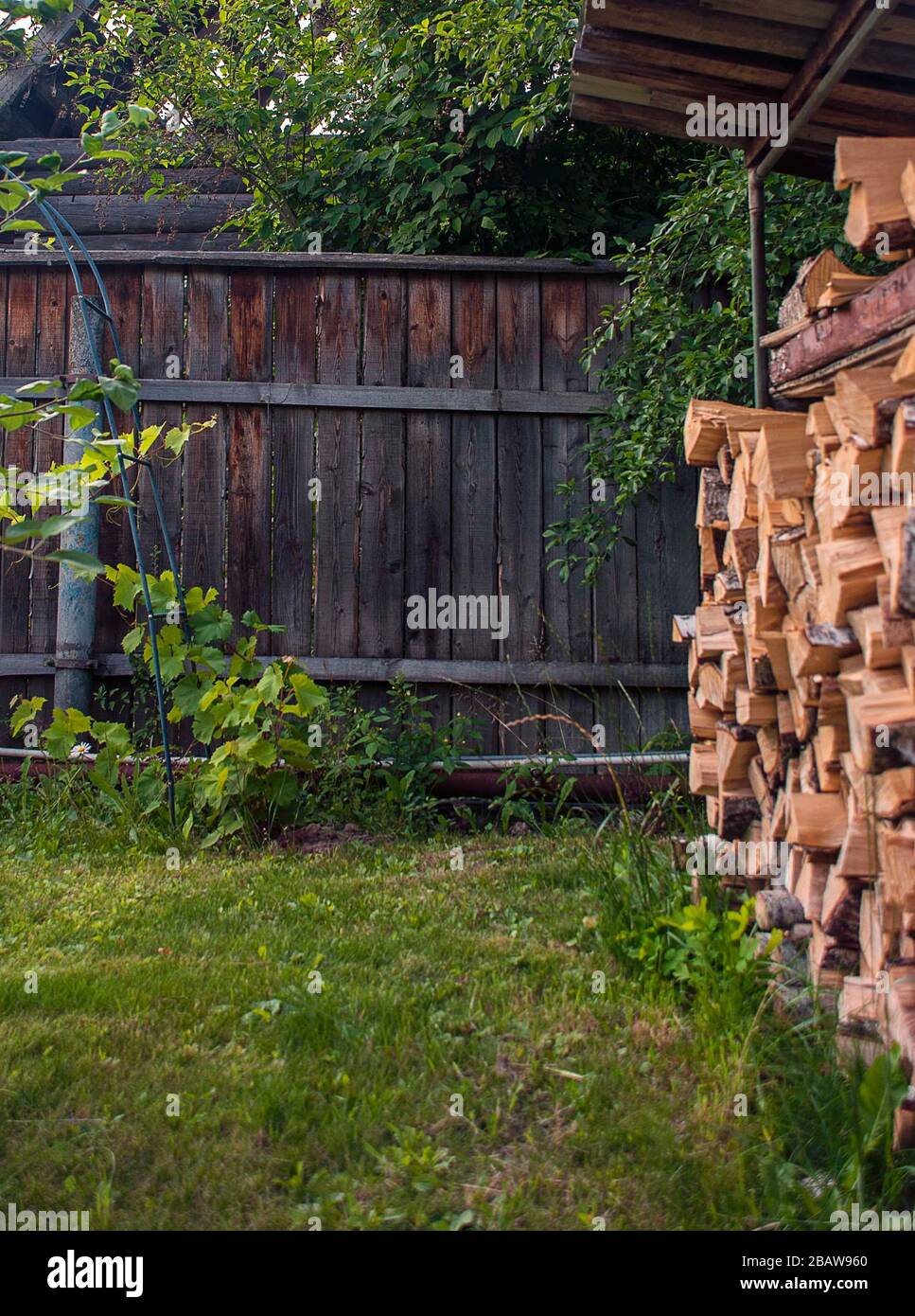 Brandholz im Hintergarten gelagert Stockfoto