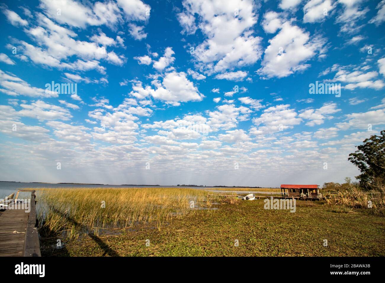 Ibera-Nationalpark, Argentinien Stockfoto