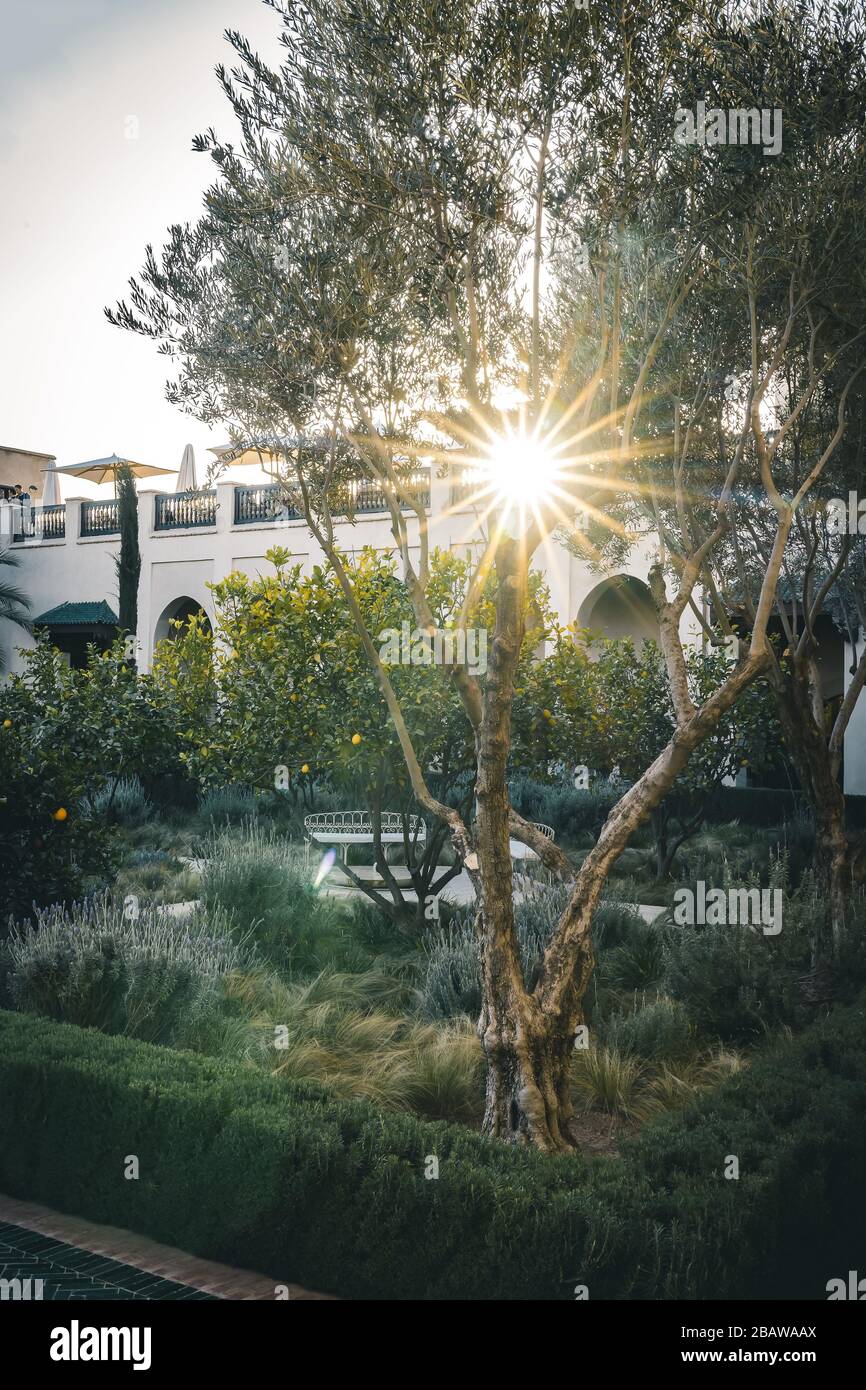 Der geheime garten marrakesch Fotos und Bildmaterial in hoher