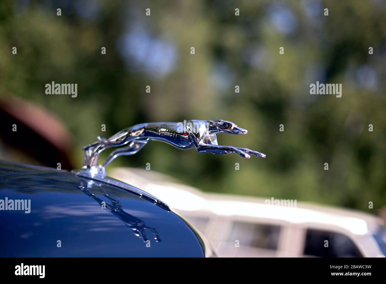 Verchromte Windhund-Kapuze an einem Lincoln- oder Ford-Automobil aus den 1930er Jahren, Symbol für Geschwindigkeit und Eleganz aus der Streamline Design-Ära. Stockfoto