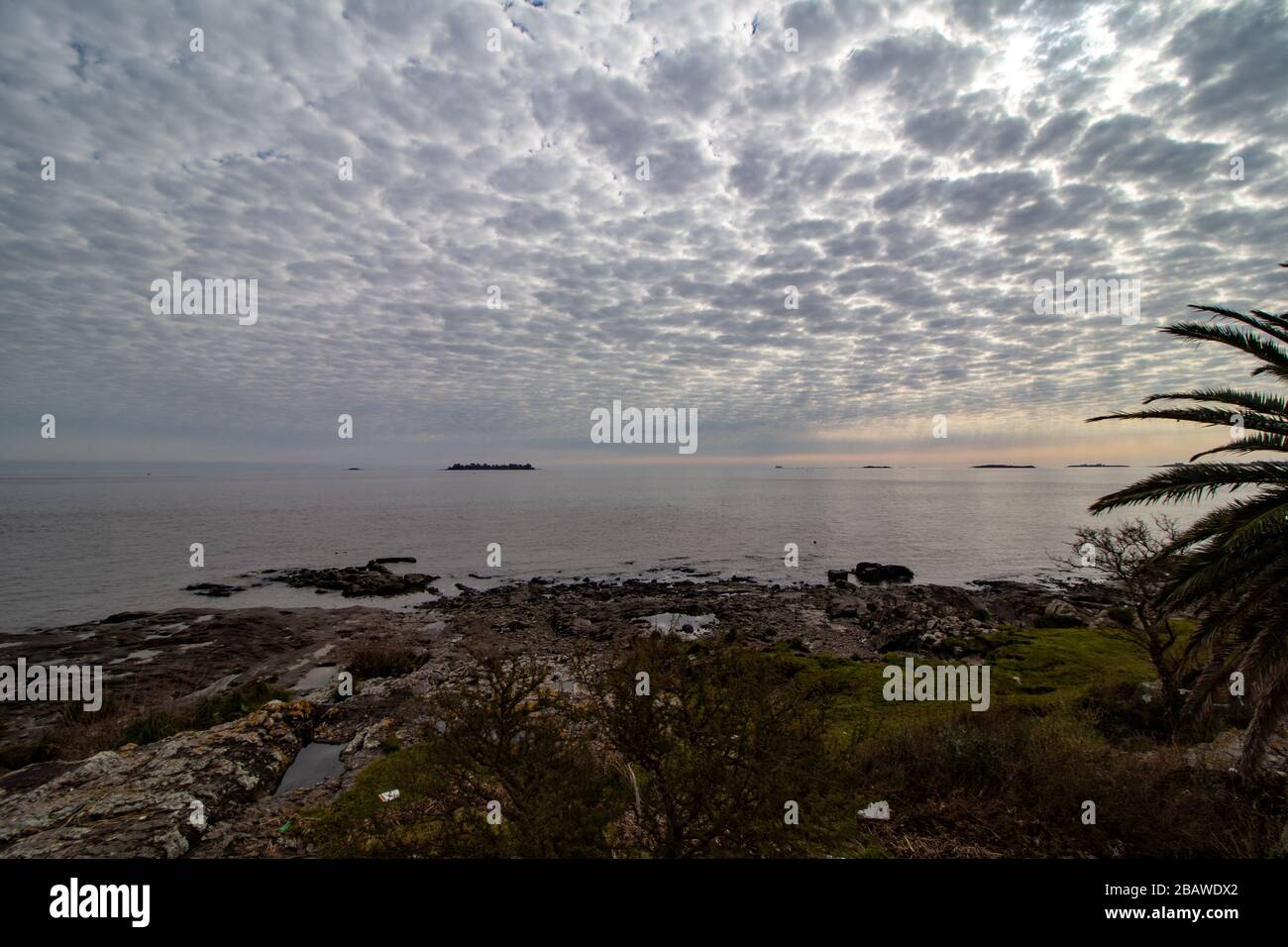Küstenlinie in Colonia, Uruguay Stockfoto