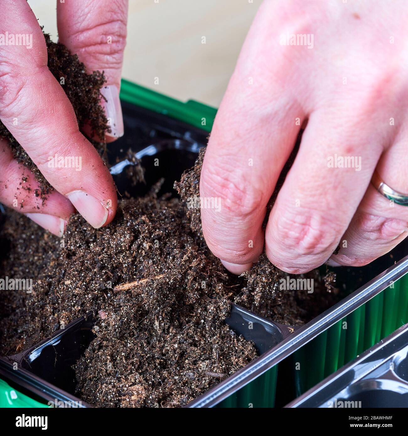 Kleine Kunststofffächer handschriftlich mit einem Boden füllen oder einige sehen Pflanzen. Stockfoto