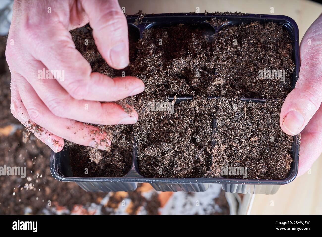 Kleine Kunststofffächer handschriftlich mit einem Boden füllen oder einige sehen Pflanzen. Stockfoto
