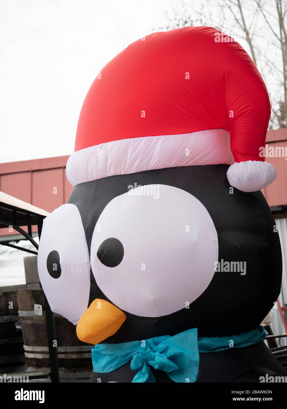 Kunststoff aufblasbarer Pinguin mit roten hatte in einem Weihnachtsdisplay  Stockfotografie - Alamy