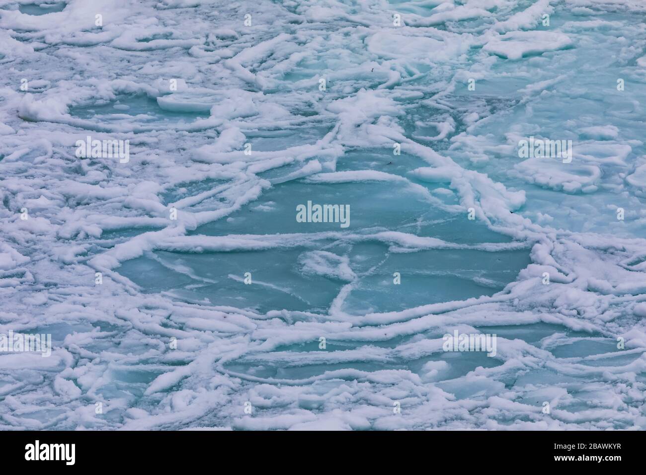 Neufundland, Kanada Stockfoto