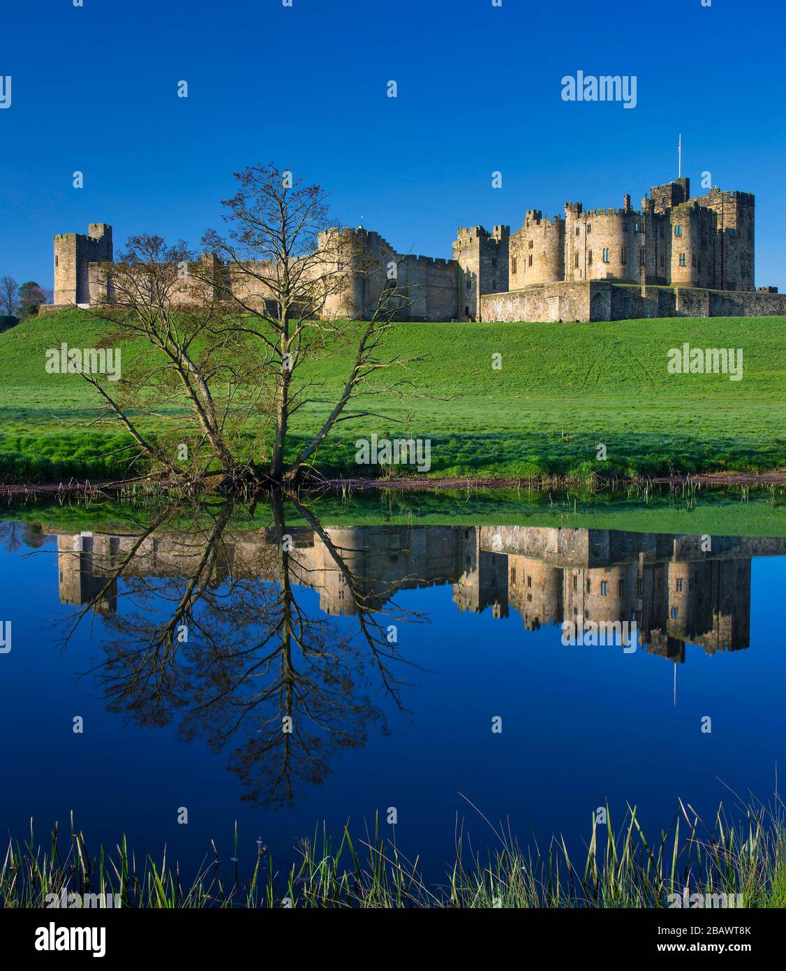 Tagesblick auf Alnwick Castle von den Almen, Northumberland, england, Großbritannien Stockfoto