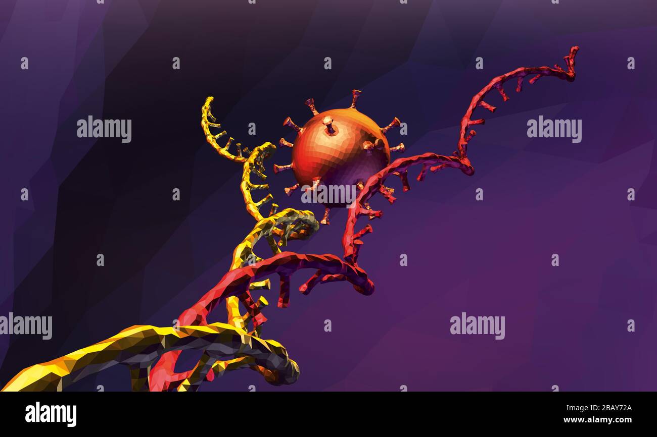 Coronavirus 2019 modifiziert die Zellen-DNA für die Selbstreplikation, eine Veränderung der Zellen-DNA. Stock Vektor