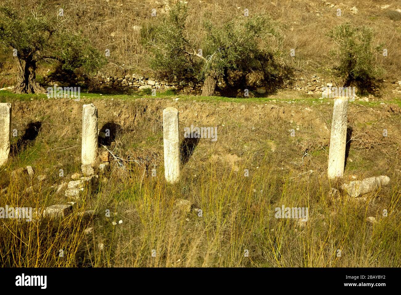 Alte römische Säulen in Ruinen Stockfoto