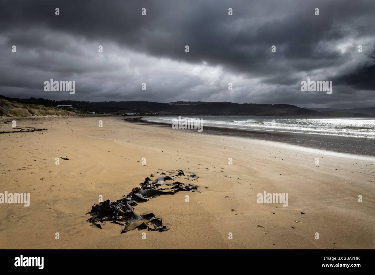 Sturm in der Curio Bay auf der Südinsel Neuseelands. Stockfoto