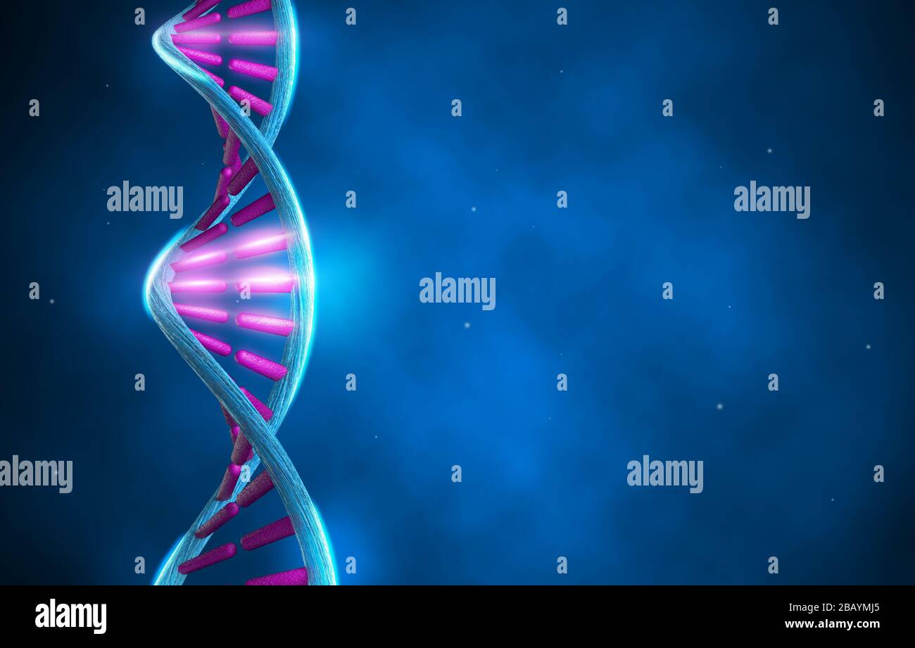 Humane DNA-Stränge konzeptionieren Hintergrund. 3D-Rendering Stockfoto