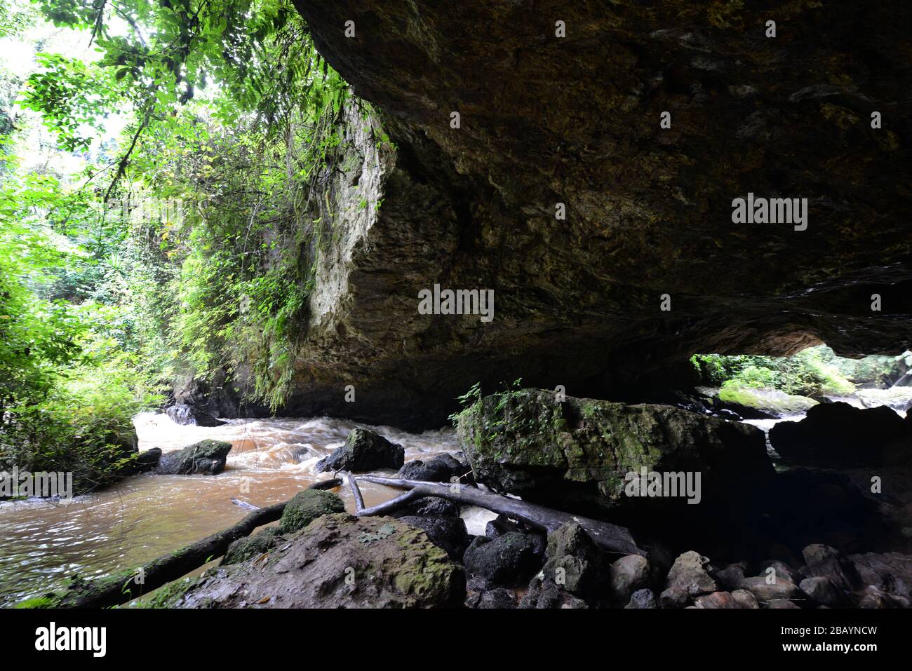 Gurguto natürliche Felsenbrücke in Mankira, Kaffa, Äthiopien. Stockfoto