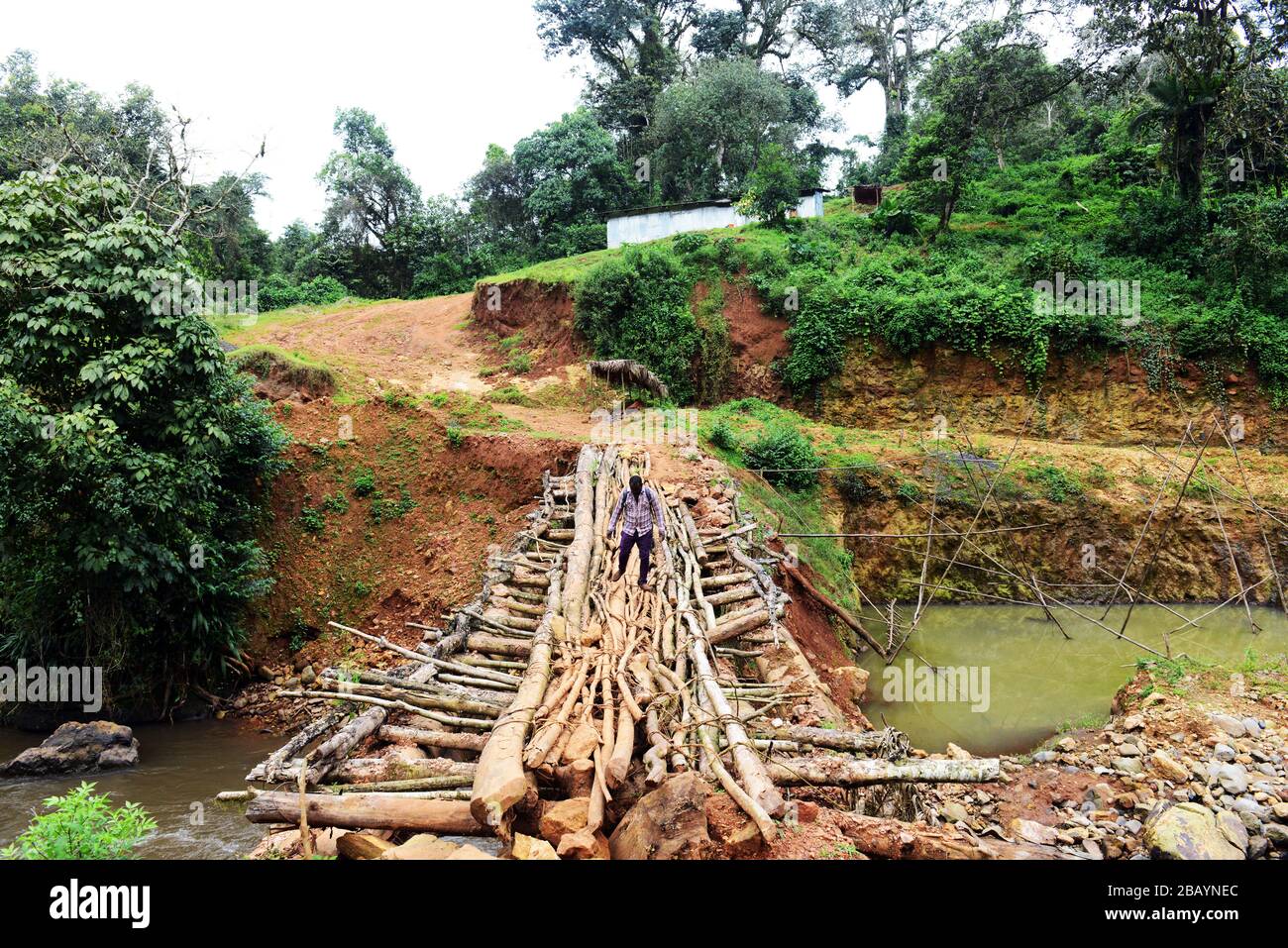 Überqueren Sie die Holzbrücke im Wildcaffewald Mankira in der Region Kaffa in Äthiopien. Stockfoto