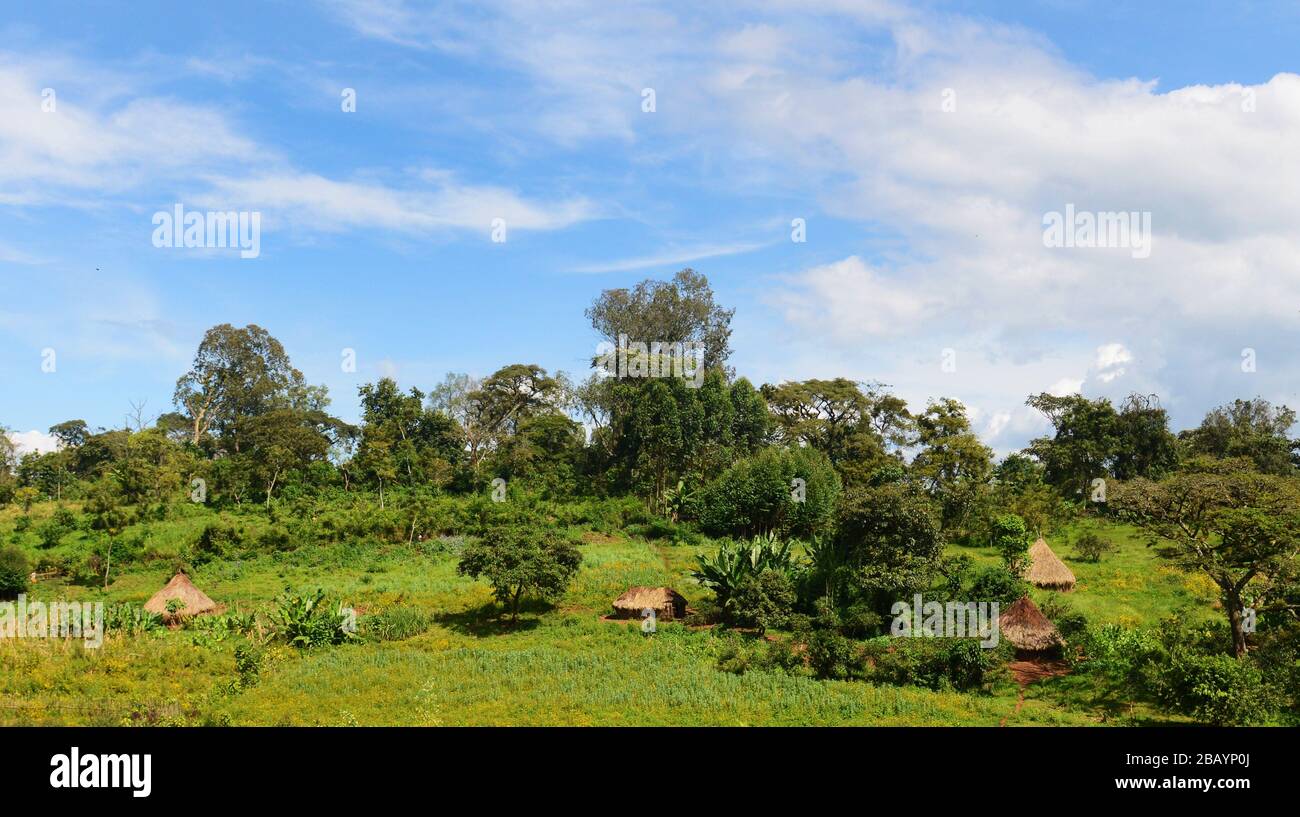 Äthiopische Landschaft in der Region Keffa in Äthiopien. Stockfoto