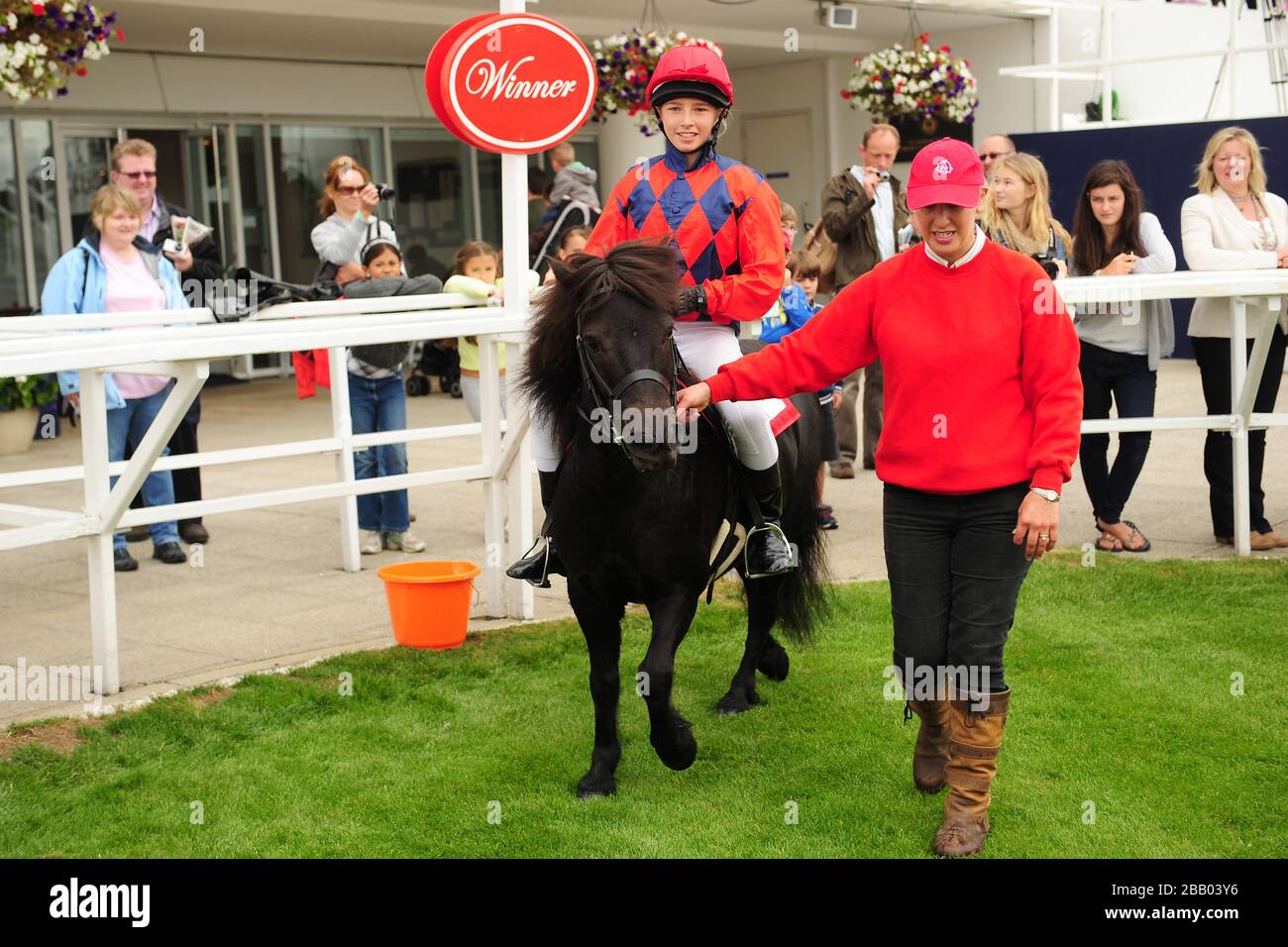 Der Gewinner des Sunderland-Buchmachers Shetland Derby 2012 nach dem Rennen Stockfoto