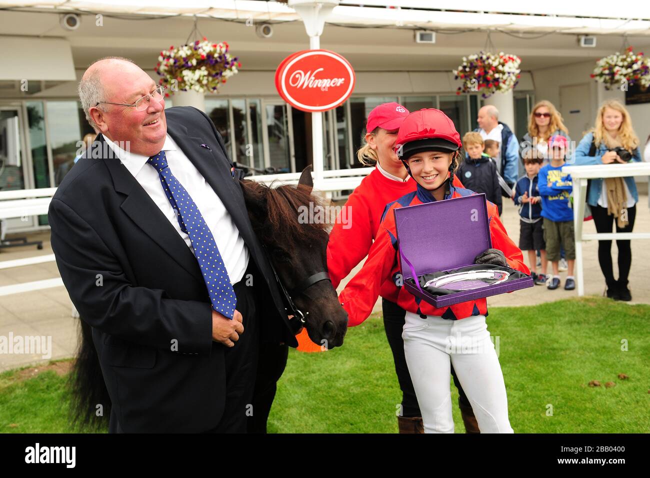Der Gewinner des Sunderland-Buchmachers Shetland Derby 2012 nach dem Rennen Stockfoto