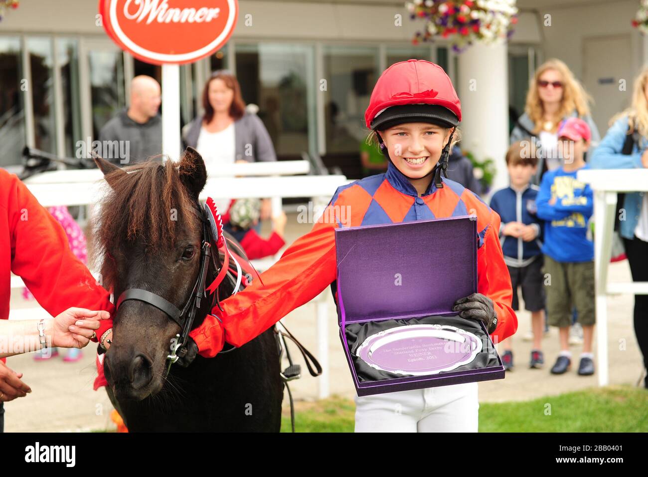 Der Gewinner des Sunderland-Buchmachers Shetland Derby 2012 nach dem Rennen Stockfoto