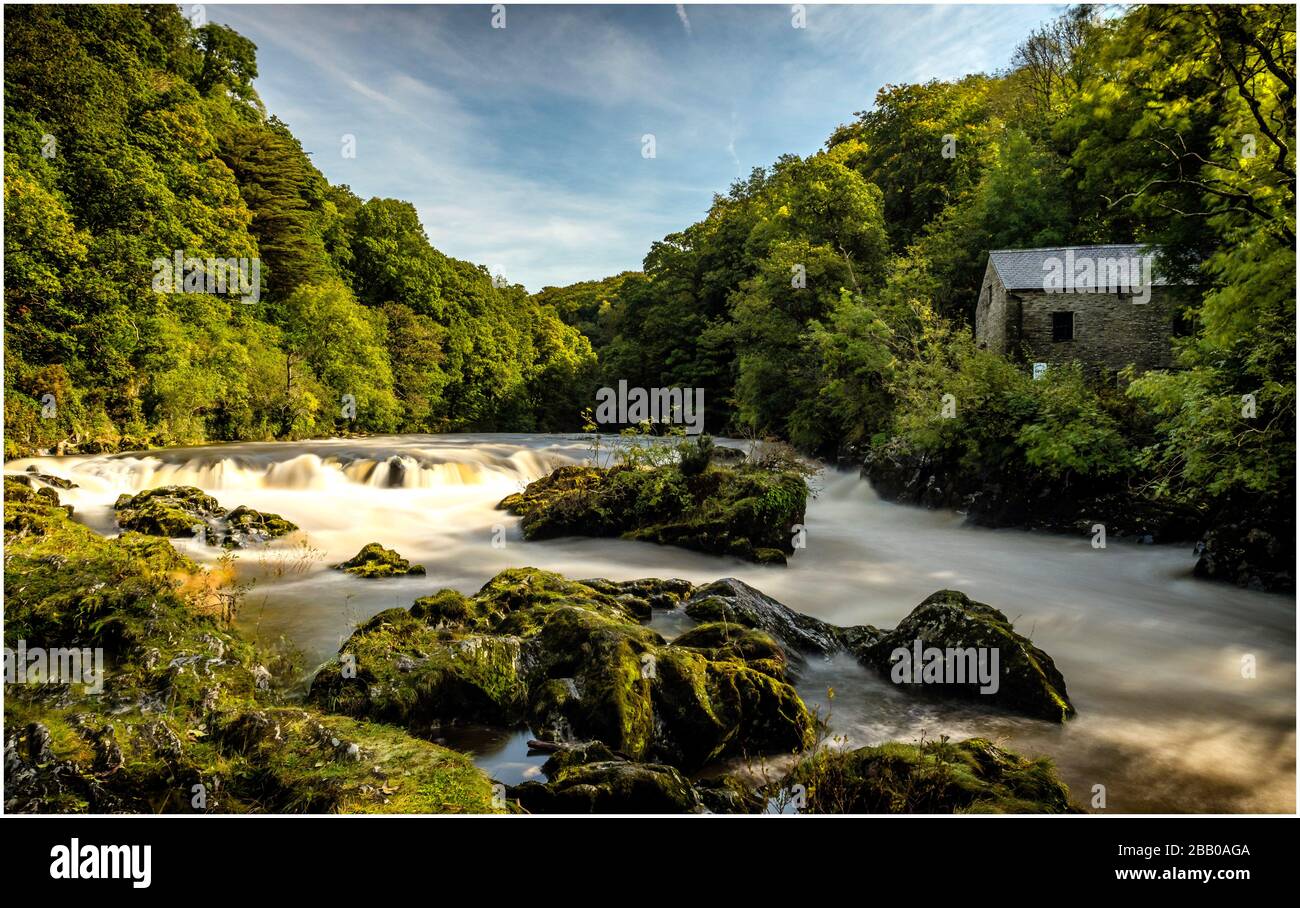 Cenarth Wasserfälle Stockfoto