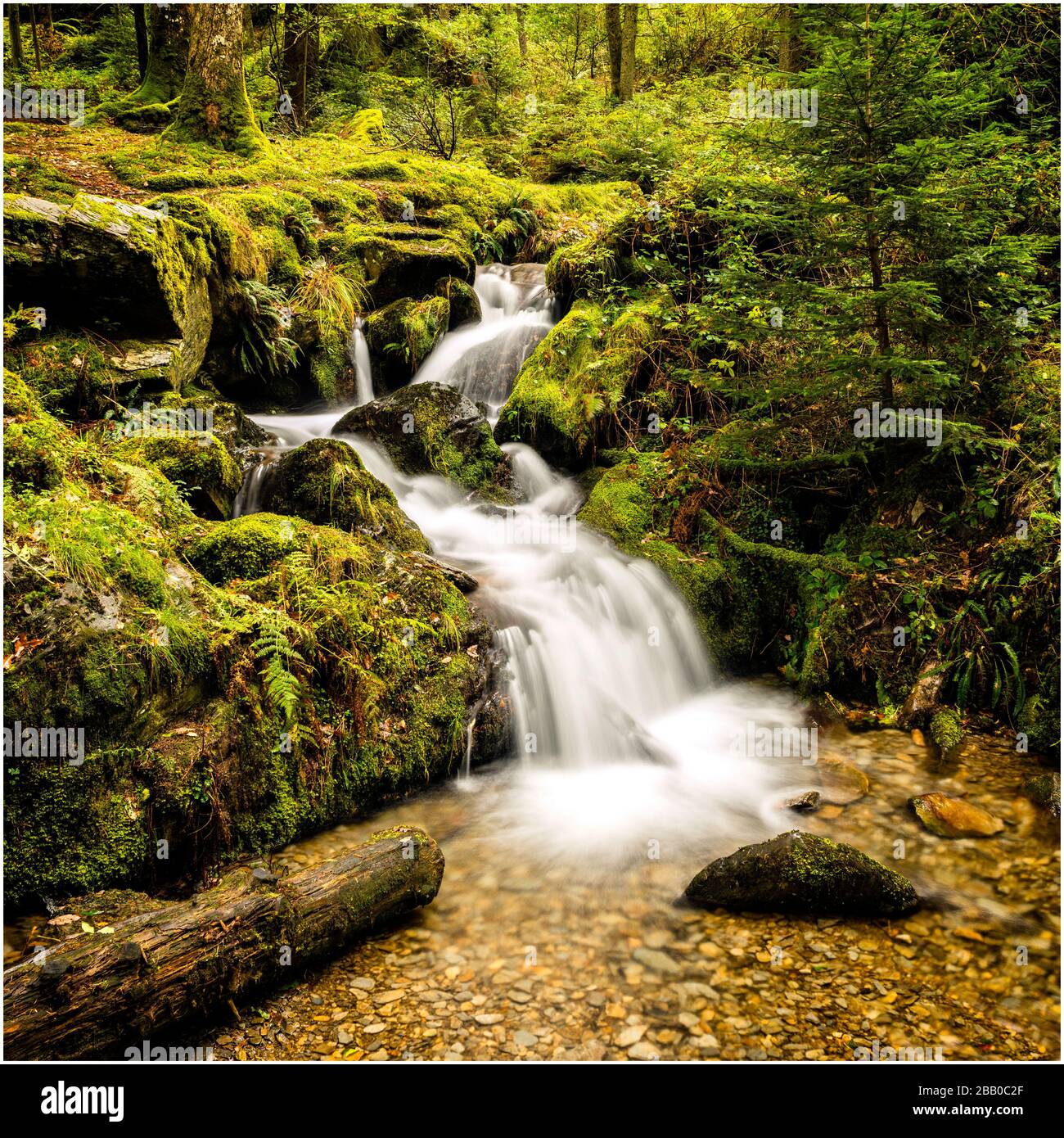 Willst du y Blymbren im Elan-Tal Stockfoto