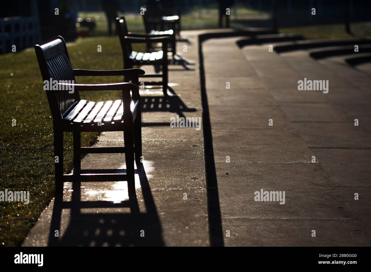 Platz in der Sonne auf der Wetherby Racecourse Stockfoto