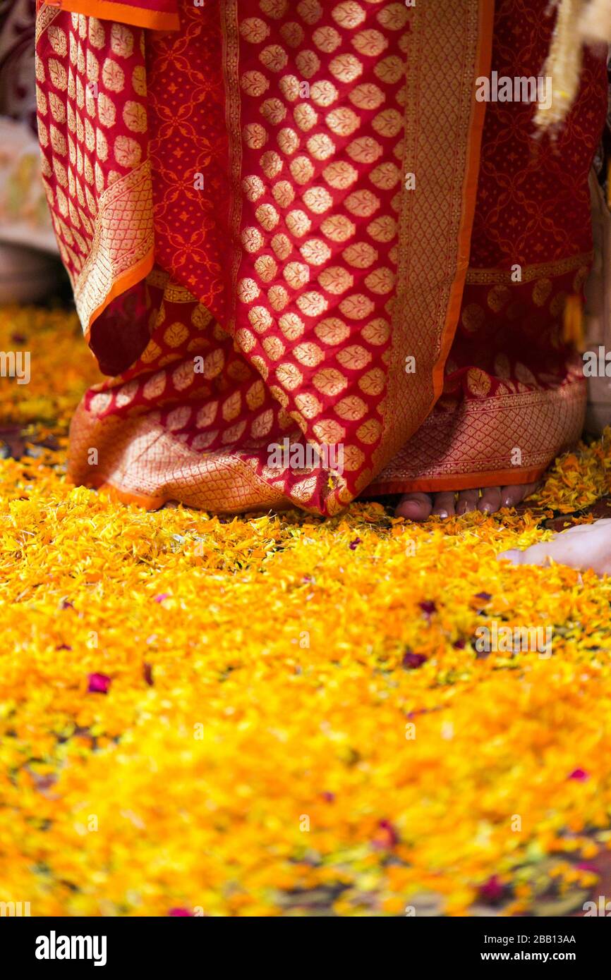 Saree und Blumenblätter Stockfoto