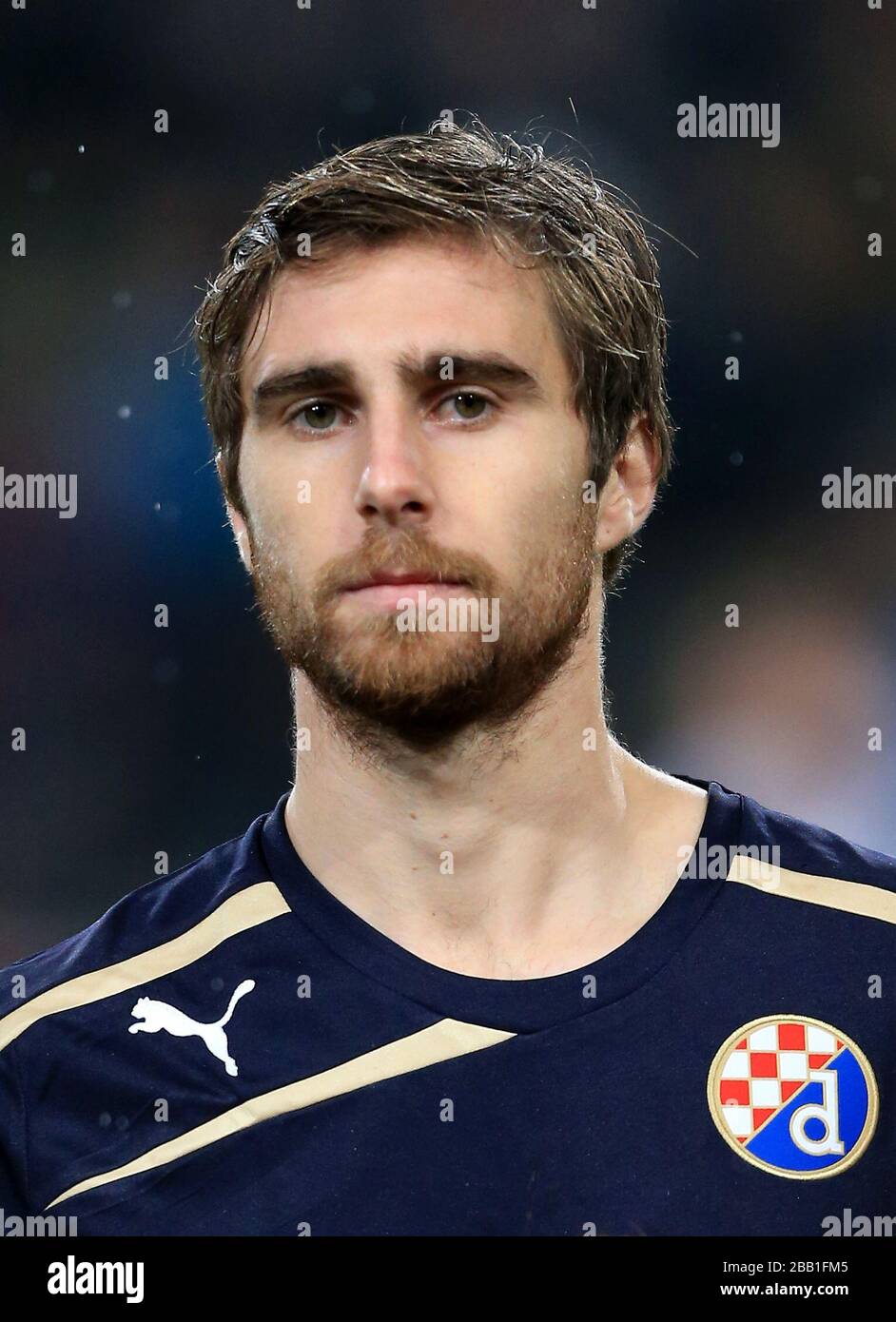 Alexandre Ruben Lima, Dinamo Zagreb Stockfoto