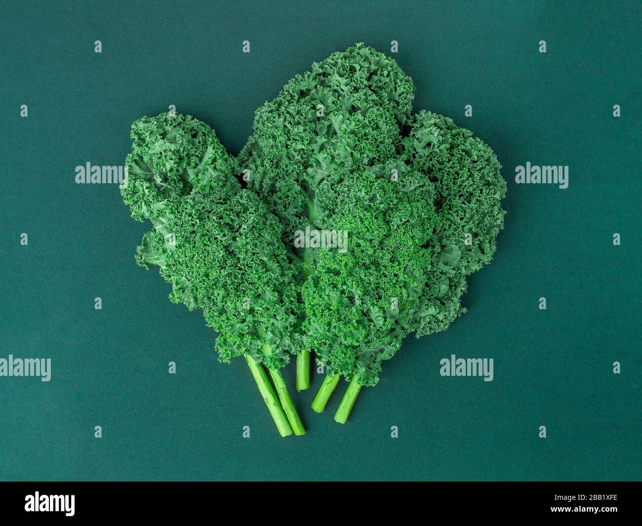 Kale-Muster auf weißem Hintergrund, Draufsicht Stockfoto