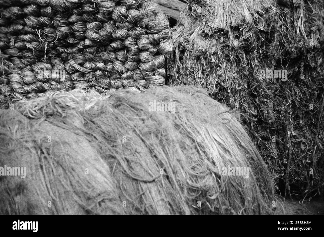 Ballen von neu eingetroffenen Jute, die auf die Verarbeitung in Tay Spinnerers Mill in Dundee, Schottland warten. Diese Fabrik war die letzte Jutespinnerei in Europa, als sie 1998 zum letzten Mal geschlossen wurde. Die Stadt Dundee war im Laufe der Geschichte für die drei 'js' berühmt gewesen - Jute, Jam und Journalismus. Stockfoto