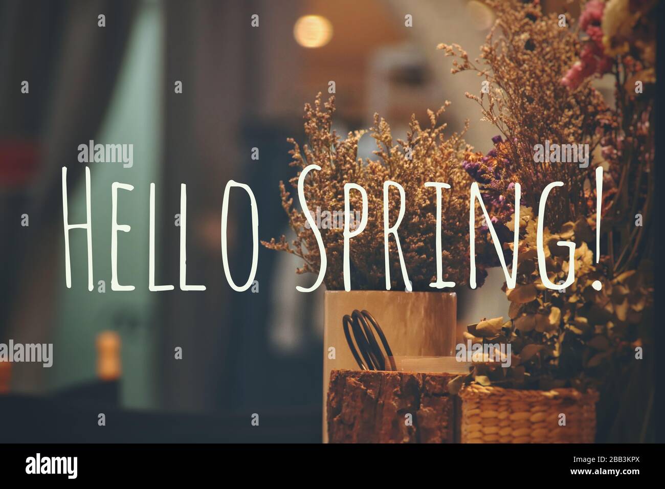 "Hello Spring Typography Background", um das kommende Frühlingssaison zu begrüßen Stockfoto