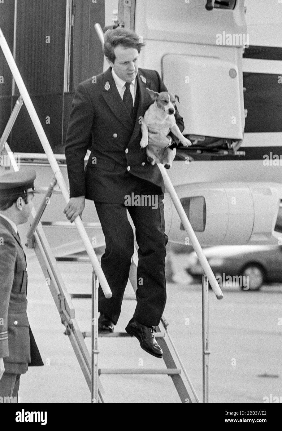 Prinz Charles Prince of Wales, der mit seinem Haustier Jack Russell Hund Tigger am Londoner Flughafen Heathrow an Bord des Königin-Königsflugs im April 1988 ankam. Stockfoto