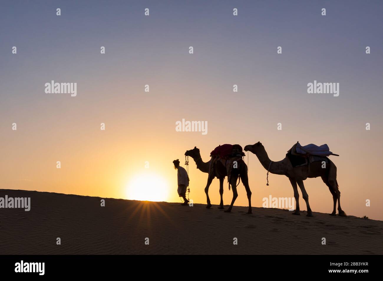 Silhouette des Menschen, der mit seinen Kamelen spaziert, Thar-Wüste, Rajasthan, Indien Stockfoto