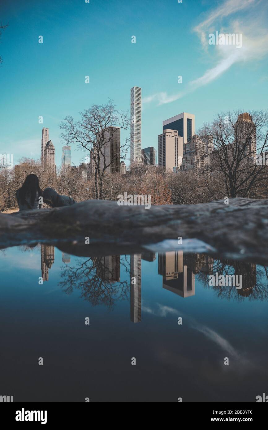 Blick Auf Die 432 Park Avenue Vom Central Park Stockfoto