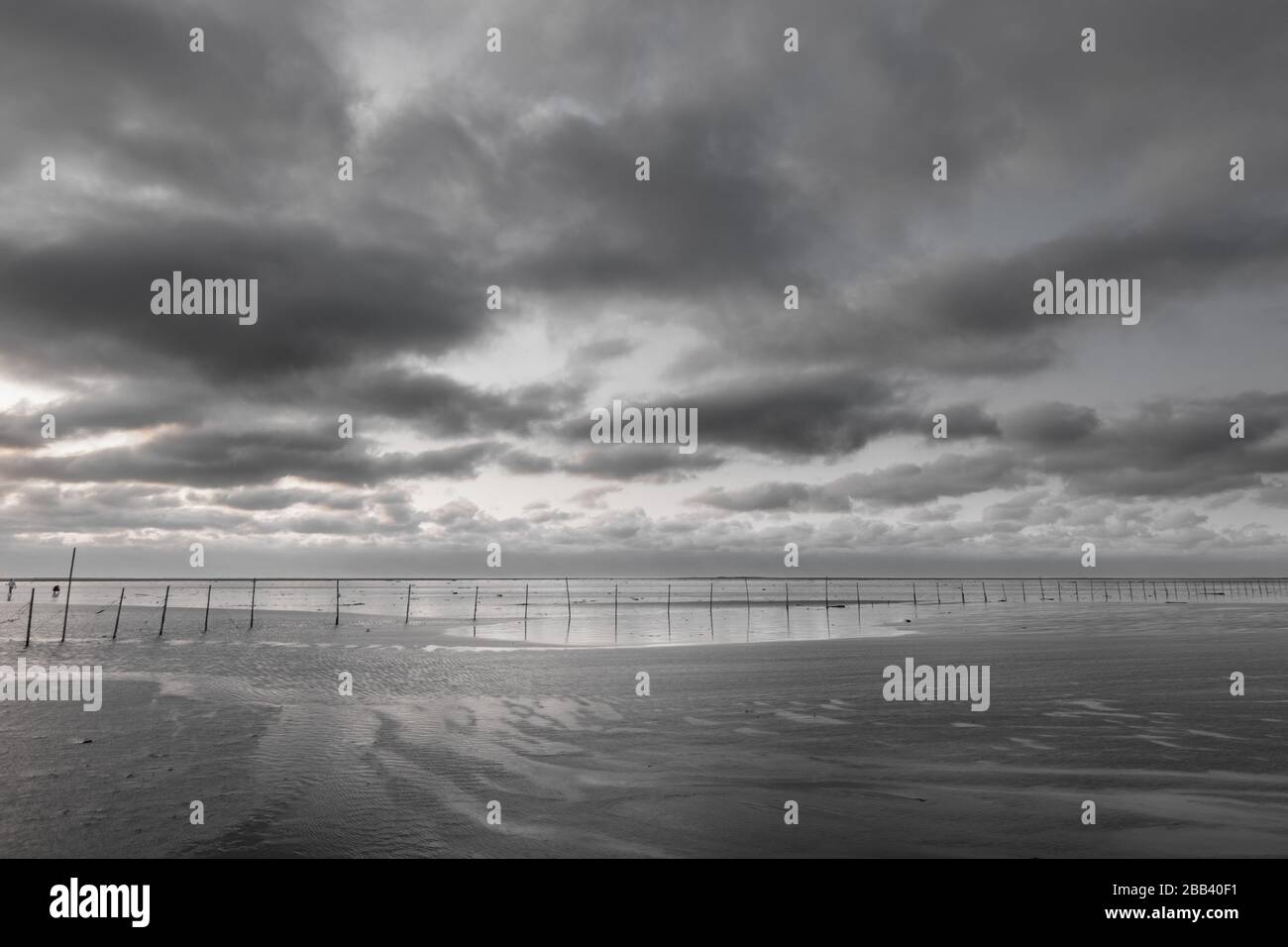 Landschaft Schwarz-Weiß-Exposition von Feuchtgebieten in Taiwan Stockfoto