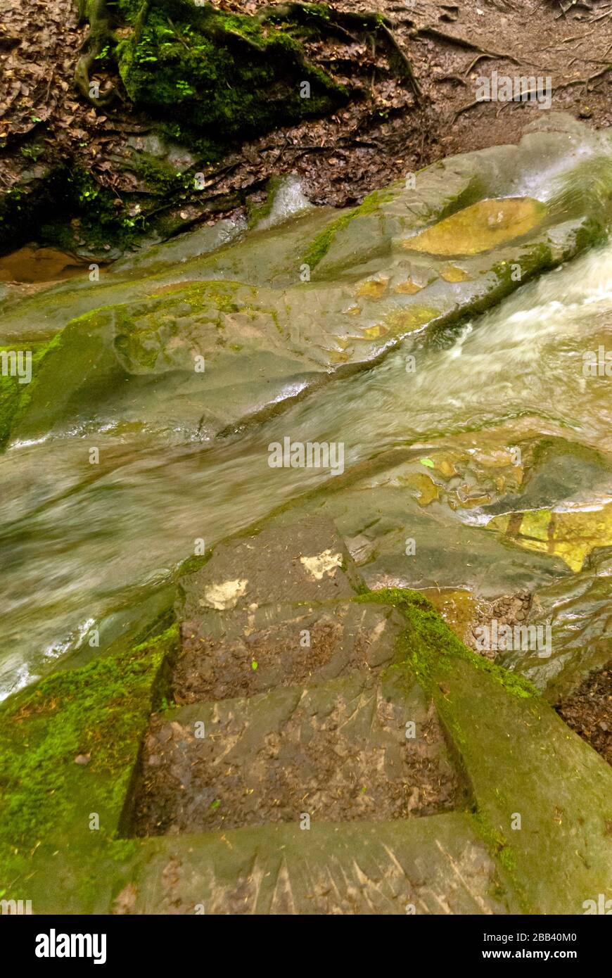 Auf dem Wanderpfad Eifelsteig in der Eifel Stockfoto