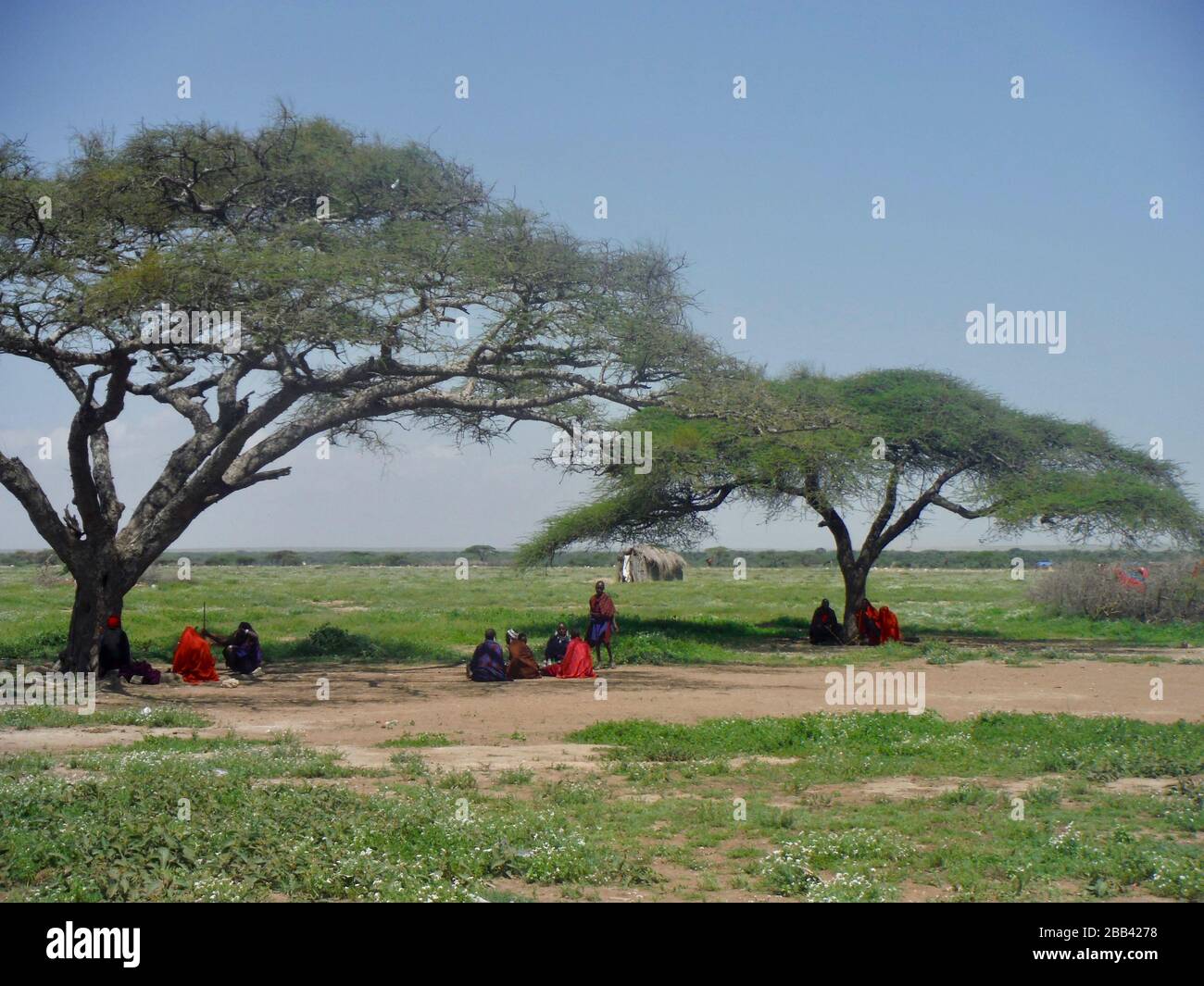 Eine Gruppe von Massai, die unter Bäumen in der Nähe der Serengeti in Tansania sitzen Stockfoto