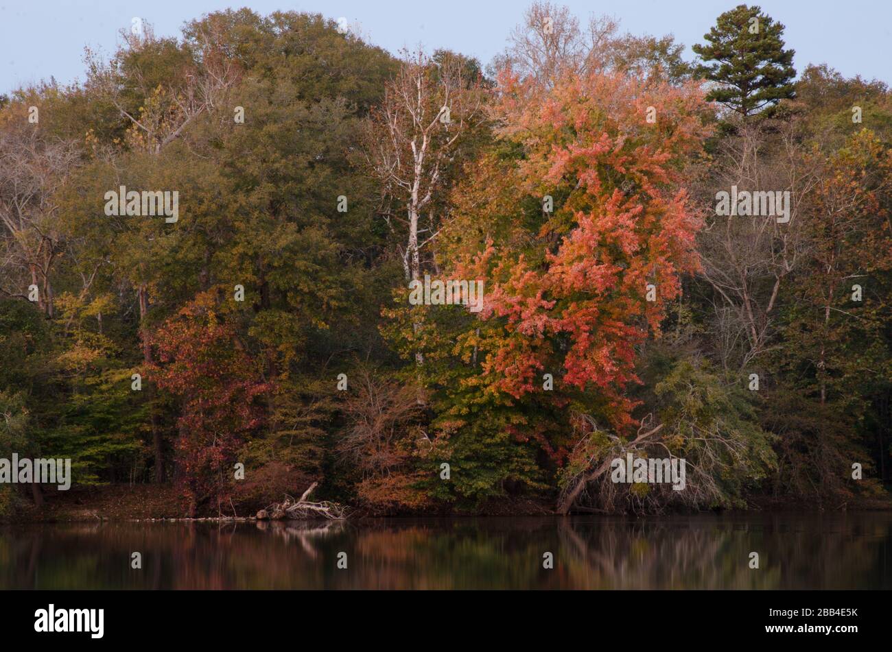 Farbe entlang des Flusses im Landsford Canal State Park, South Carolina Stockfoto