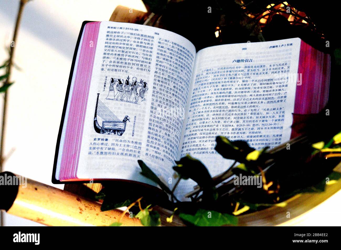 Offene chinesische Bibel auf einem Bambusständer, umgeben von Efeublättern, beleuchtet von natürlichem Licht, symbolisiert einen ruhigen Moment spiritueller Reflexion Stockfoto