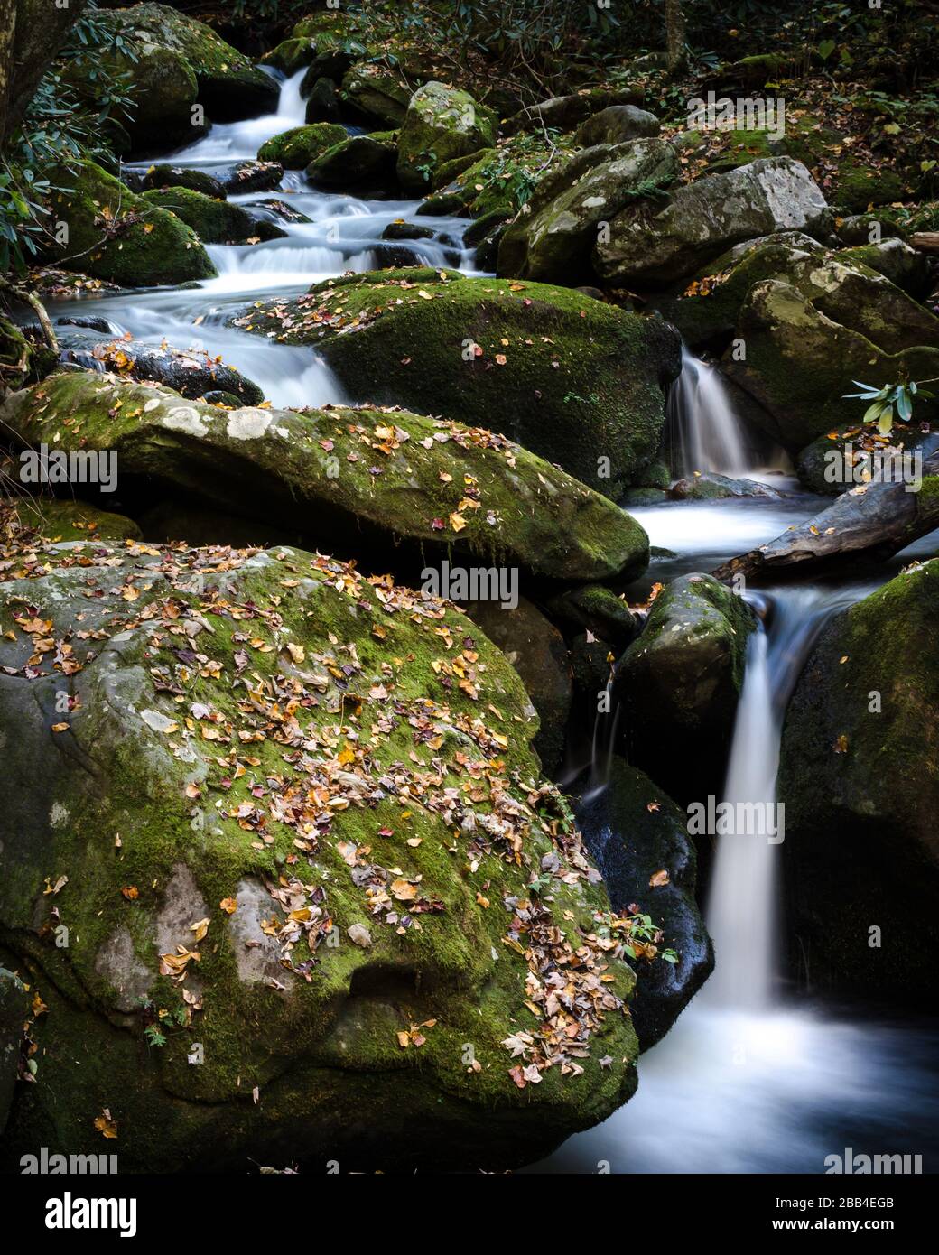 Der Creek durchzieht im Herbst moosbedeckte Felsen in den Great Smoky Mountains Stockfoto