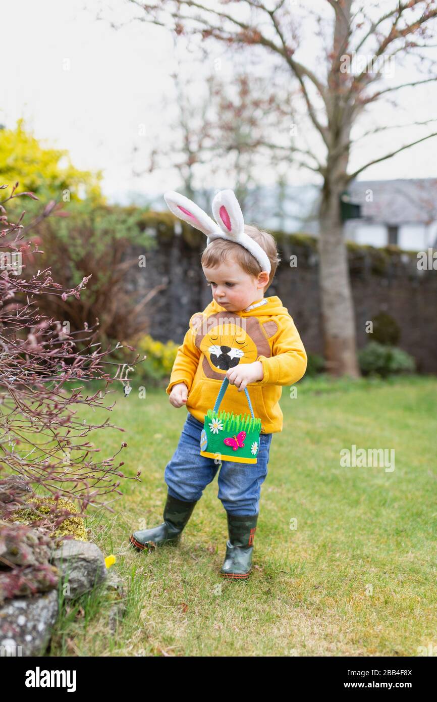 Junge draußen im Garten mit Hünenohren für die Ostereierjagd, Schottland, Großbritannien Stockfoto