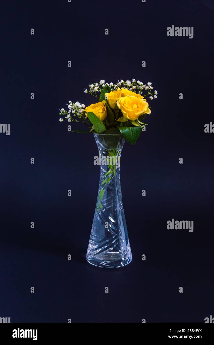 Gelbe Rosen mit kleinen Knospen und Gypsophila weiße Blumen in einer Kristallvase auf schwarzem oder dunkelblauem Hintergrund. Vertikale elegante Blumenzusammensetzung als Stockfoto