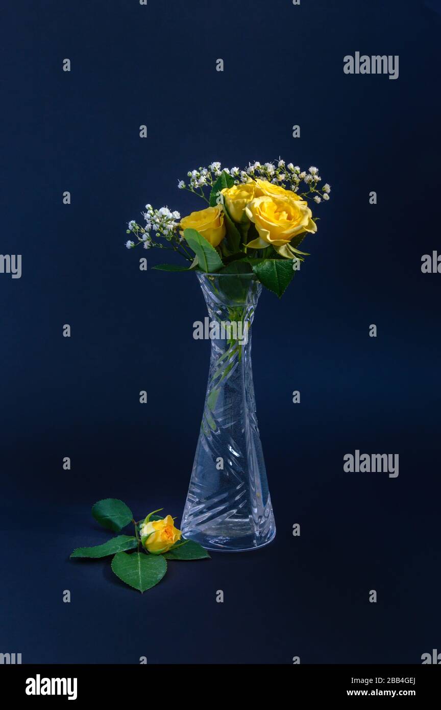 Gelbe Rosen und Gypsophila weiße Blumen in einer Kristallvase auf schwarzem oder dunkelblauem Hintergrund. Kleine Rosenknospe in der Nähe. Vertikal elegante Blumenkompositi Stockfoto