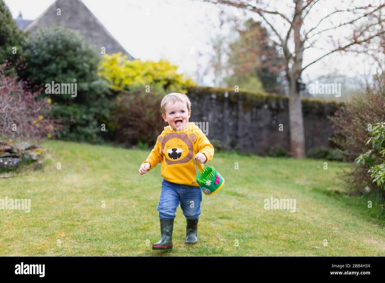 Junge, 18 Monate alt, macht Ostereierjagd in einem Garten, Schottland, Großbritannien Stockfoto