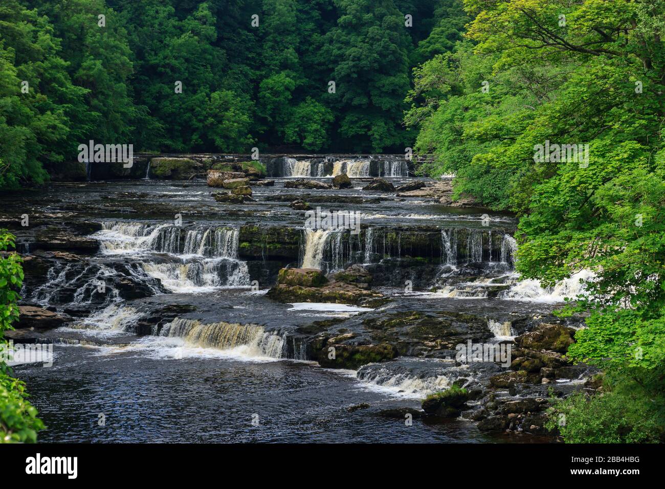 Aysgarth Upper falls Richmondshire North Yorkshire England Stockfoto