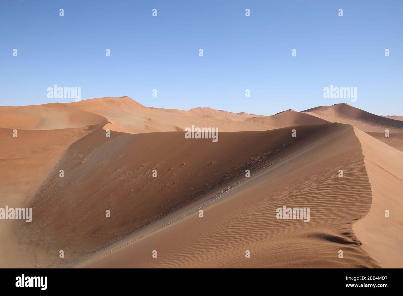 Blick von der Sanddüne Big Daddy in Richtung der Düne Big Mama im Sossusvlie Namib Nationalpark in Namibia Stockfoto