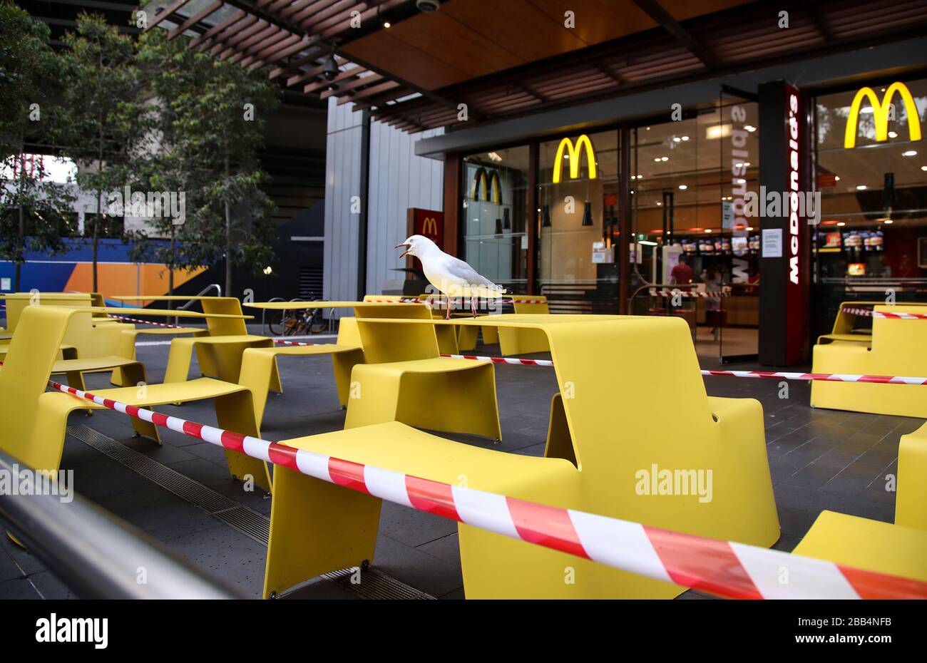 Sydney, Australien. März 2020. Eine Möwe hält am 30. März 2020 auf einem McDonald's-Tisch in Sydney, Australien. Restaurants und Cafés sind nur auf Mitnahme oder Hauslieferung beschränkt. Soziale Zusammenkünfte waren auf zwei Personen in wichtigen australischen Bundesstaaten beschränkt, da die Anzahl der COVID-19-Fälle landesweit 4.000 betrug und virenbedingte Todesfälle 18 erreichten. Kredit: Bai Xuefei/Xinhua/Alamy Live News Stockfoto