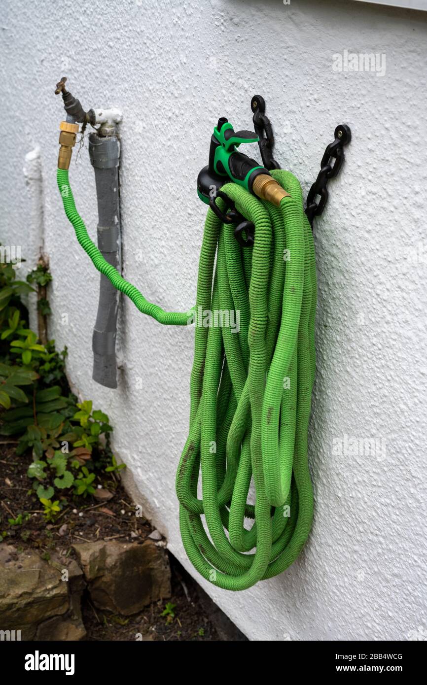 Grünes Schlauchrohr, das mit einem Hahn verbunden ist und in einem Garten an einer weißen Wand hängt. Stockfoto